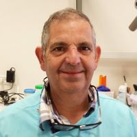 לוגו של ד"ר אלי בני ד"ר אלי בני - תמונת לוגו
