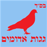 לוגו של גגות אדומים - תמונת לוגו