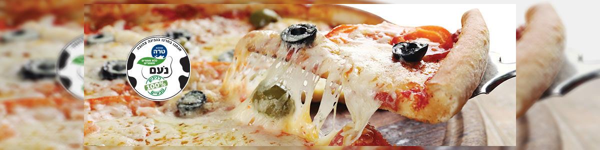 פיצה נאפולי - תמונה ראשית