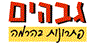 לוגו של גבהים פתרונות בהרמה גבהים פתרונות בהרמה בע"מ - תמונת לוגו