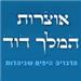 אוצרות המלך דוד - תמונה