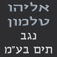 לוגו של אליהו טלמון - נגב תים בע"מ אליהו טלמון - נגב תים בע"מ - תמונת לוגו