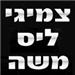 - תמונה - תמונה