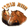 לוגו של חוות עומרי-חוות סוסים בירושלים חוות עומרי בע"מ - תמונת לוגו