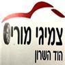 לוגו של צמיגי מוריס - תמונת לוגו