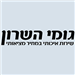  - תמונה