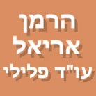 לוגו של אריאל הרמן, עו"ד פלילי אריאל הרמן, עו"ד פלילי - תמונת לוגו