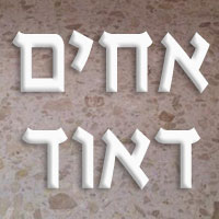 לוגו של אחים דאוד אחים דאוד - תמונת לוגו