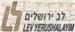- תמונה - תמונה