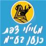 לוגו של מטיילי צפת בכנען בע"מ מטיילי צפת בכנען בע"מ - תמונת לוגו