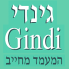 גינדי ובניו בע"מ