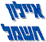 איילון חשמל