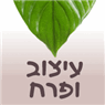 לוגו של עיצוב ופרח עיצוב ופרח - תמונת לוגו