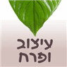 עיצוב ופרח בגדרה עיצוב ופרח בגדרה