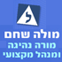 לוגו של מולה שחם-מורה לנהיגה ומנהל מקצועי מולה שחם-מורה לנהיגה ומנהל מקצועי - תמונת לוגו