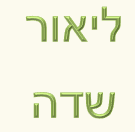 לוגו של ליאור שדה ליאור שדה - תמונת לוגו