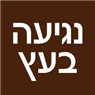 לוגו של נגיעה בעץ - תמונת לוגו