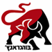  - תמונה