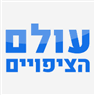 עולם הציפויים באשדוד עולם הציפויים באשדוד