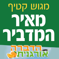 מאיר המדביר מגוש קטיף באשקלון מאיר המדביר מגוש קטיף באשקלון
