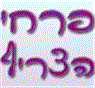 פרחי הצריף בחיפה פרחי הצריף בחיפה
