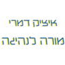לוגו של איציק דמרי - מורה לנהיגה איציק דמרי - מורה לנהיגה - תמונת לוגו