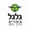 גלגל אופניים - מכירה ותיקון בבנימינה גלגל אופניים - מכירה ותיקון בבנימינה
