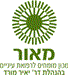- תמונה - תמונה