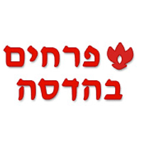 לוגו של פרחים בהדסה פרחים בהדסה - תמונת לוגו