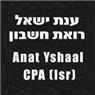 לוגו של ישאל ענת - רו"ח ישאל ענת - רו"ח - תמונת לוגו