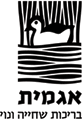 אגמית במענית אגמית במענית