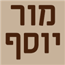 לוגו של מור יוסף הנדימן, תיקונציק וצבע מור יוסף - תמונת לוגו