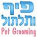 מגי - תמונה מגי - תמונה