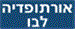 - תמונה  - תמונה