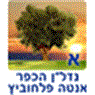 לוגו של נדל"ן הכפר אנטה פלחוביץ נדל"ן הכפר אנטה פלחוביץ - תמונת לוגו