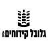 לוגו של גלובל קידוחים גלובל קידוחים - תמונת לוגו