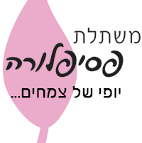 משתלת פסיפלורה בקרית אונו משתלת פסיפלורה בקרית אונו
