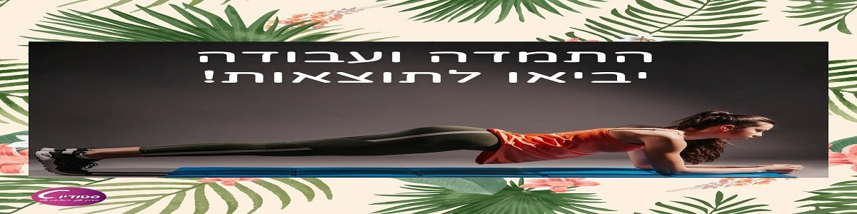סטודיו סי - תמונה ראשית