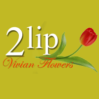 איינשטיין פרחים 2lip בהרצליה איינשטיין פרחים 2lip בהרצליה