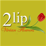 איינשטיין פרחים 2lip בהרצליה איינשטיין פרחים 2lip בהרצליה