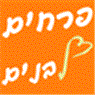 לוגו של פרחים לבנים פרחים לבנים - תמונת לוגו