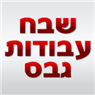 לוגו של שבח עבודות גבס שבח עבודות גבס - תמונת לוגו