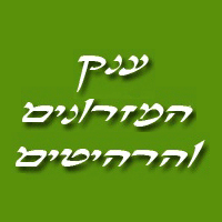 לוגו של ענק המזרנים והרהיטים ענק המזרנים והרהיטים - תמונת לוגו