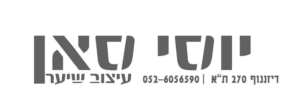 לוגו של יוסי סאן יוסי סאן - תמונת לוגו