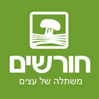 לוגו של חורשים - משתלה של עצים חורשים - משתלה של עצים - תמונת לוגו