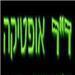 - תמונה - תמונה