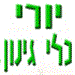 Yuri - תמונה