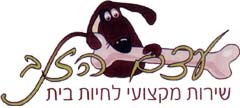 עצם הזנב בחיפה עצם הזנב בחיפה