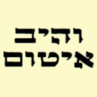לוגו של והיב איטום והיב איטום - תמונת לוגו