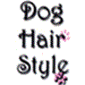 לוגו של דוג הייר סטייל Dog Hair Style דוג הייר סטייל Dog Hair Style - תמונת לוגו